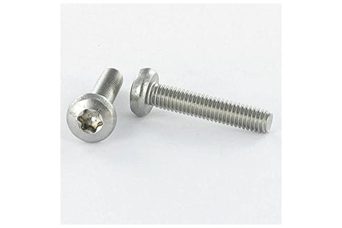 Vis inox à tête cylindrique bombée large à empreinte TORX T30 M6 mm